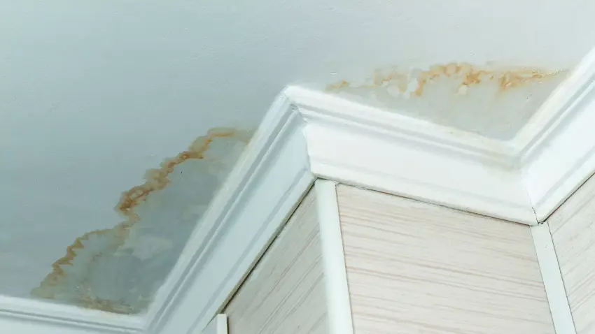 How to fix water damage