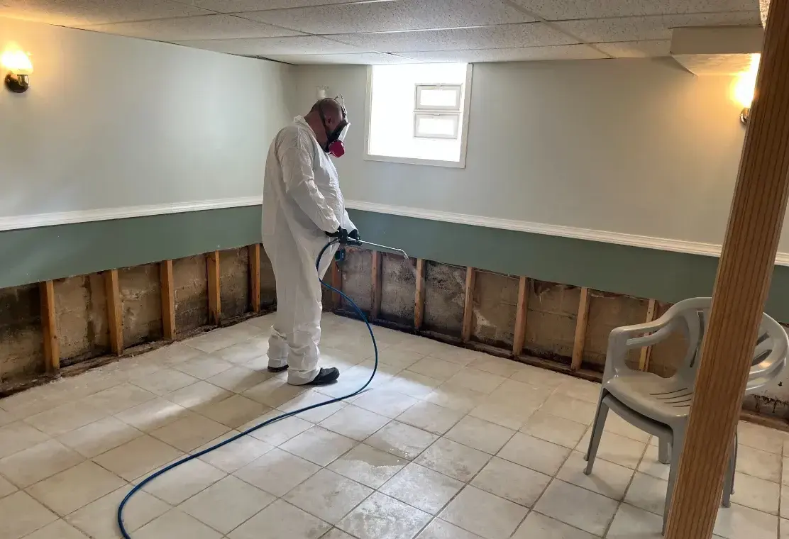 Basement Mold Removal