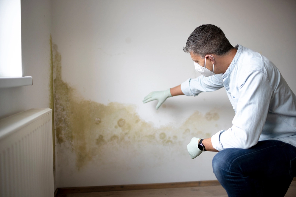 Remove Mold Odor
