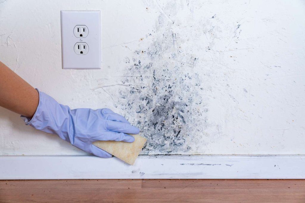 how to remove mold from walls