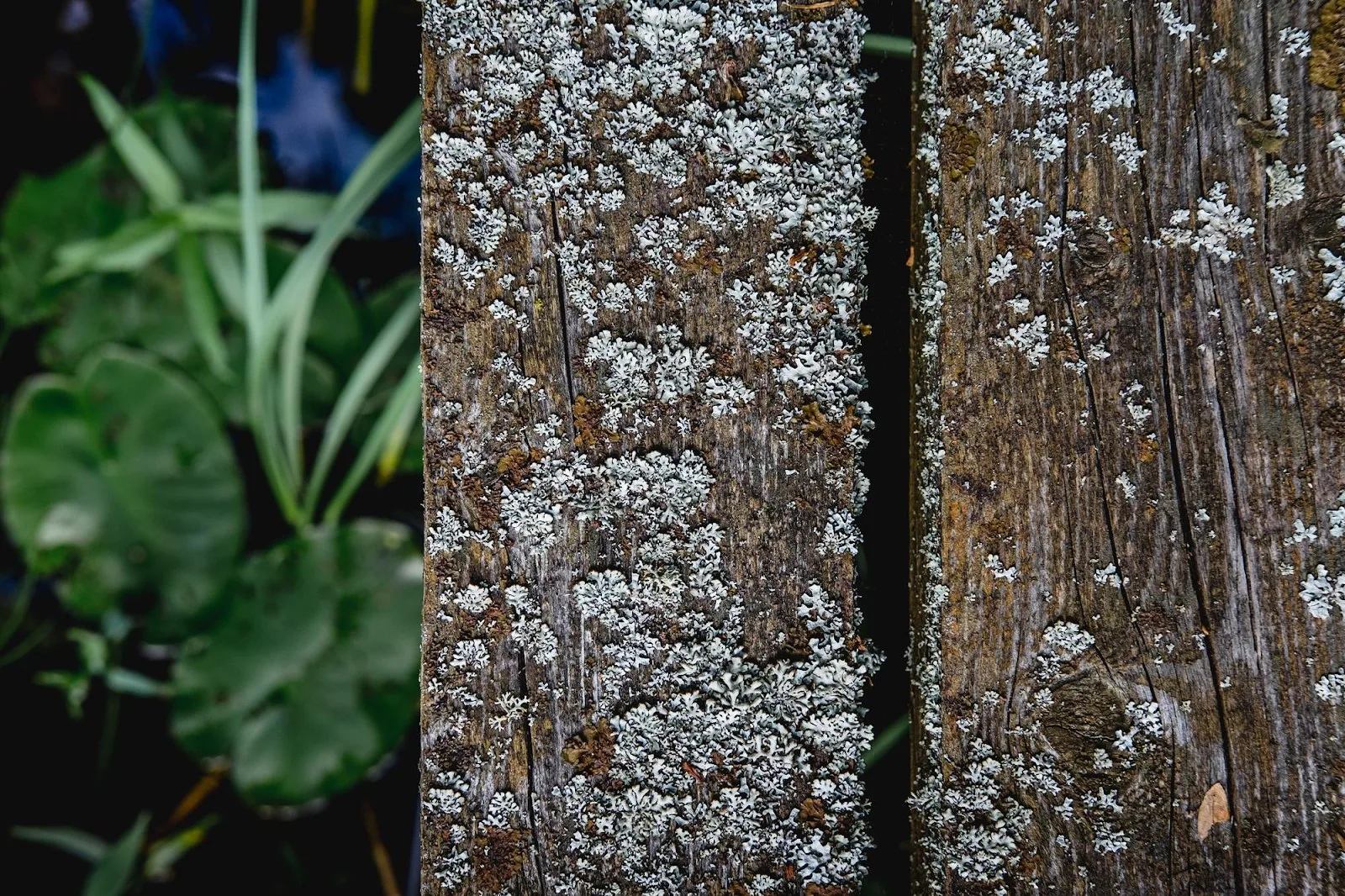 how to prevent mold in tropical climates