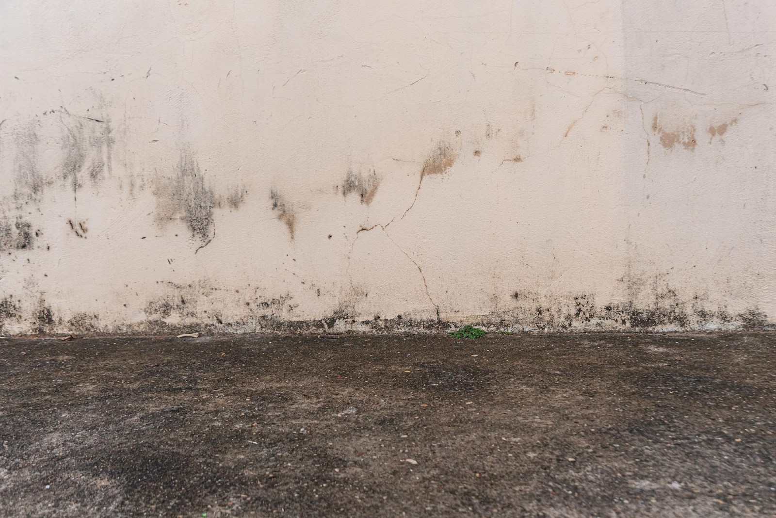 mold under vinyl plank flooring