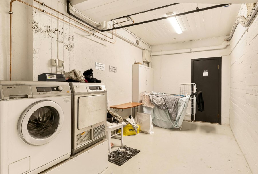 black mold in laundry room