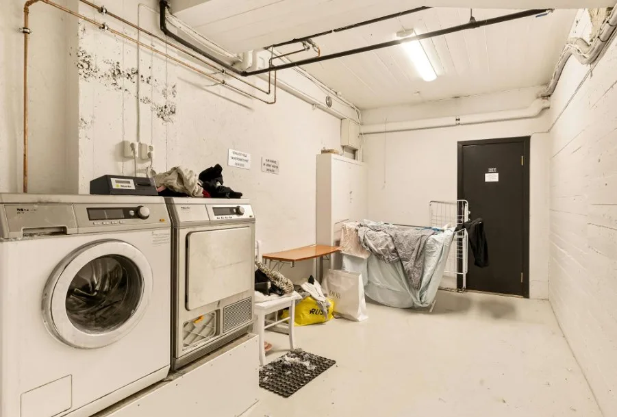 black mold in laundry room