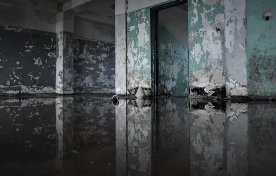 mold removal after flood