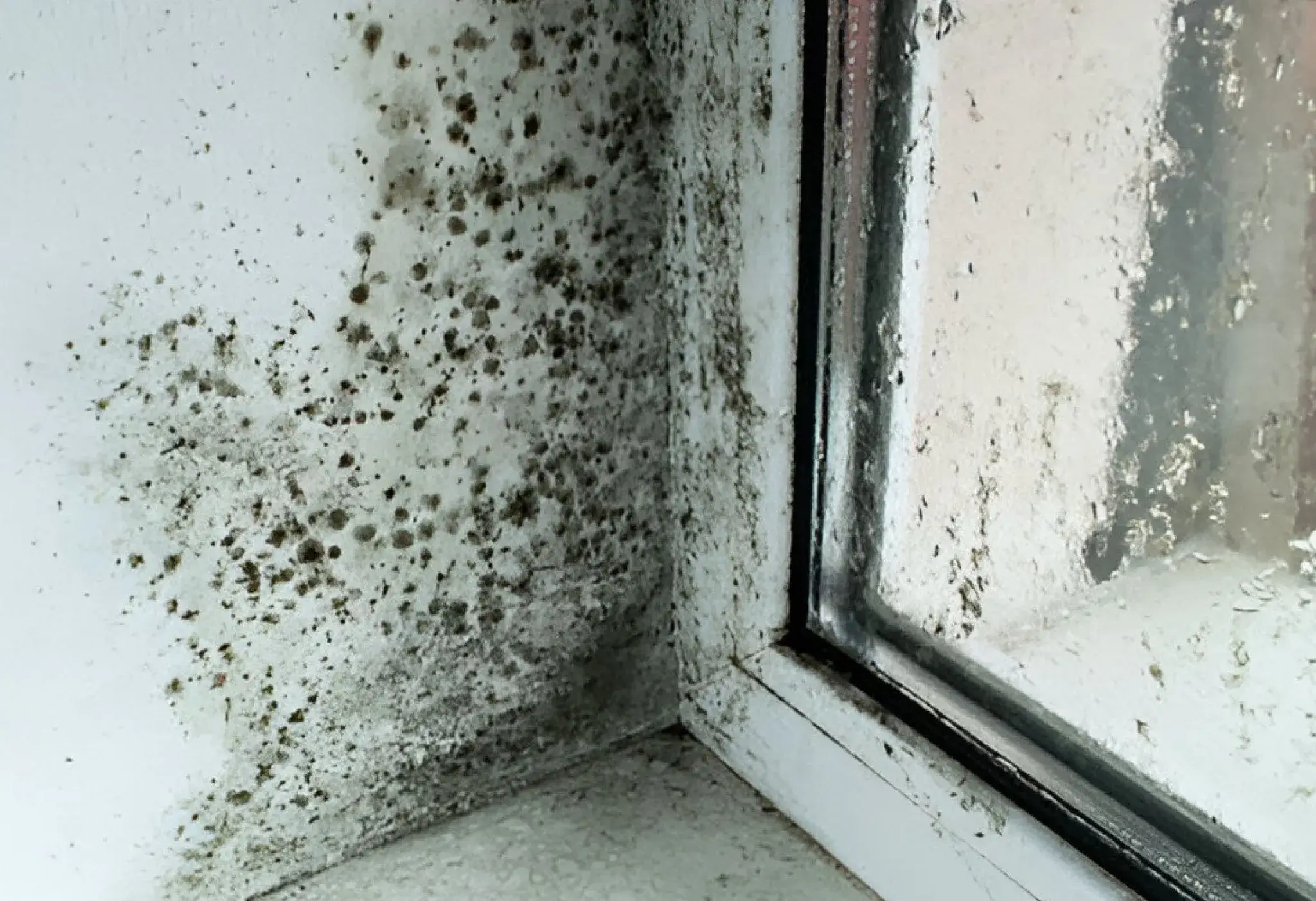 Extensive black mold growth spreading across a shower wall and into the surrounding drywall