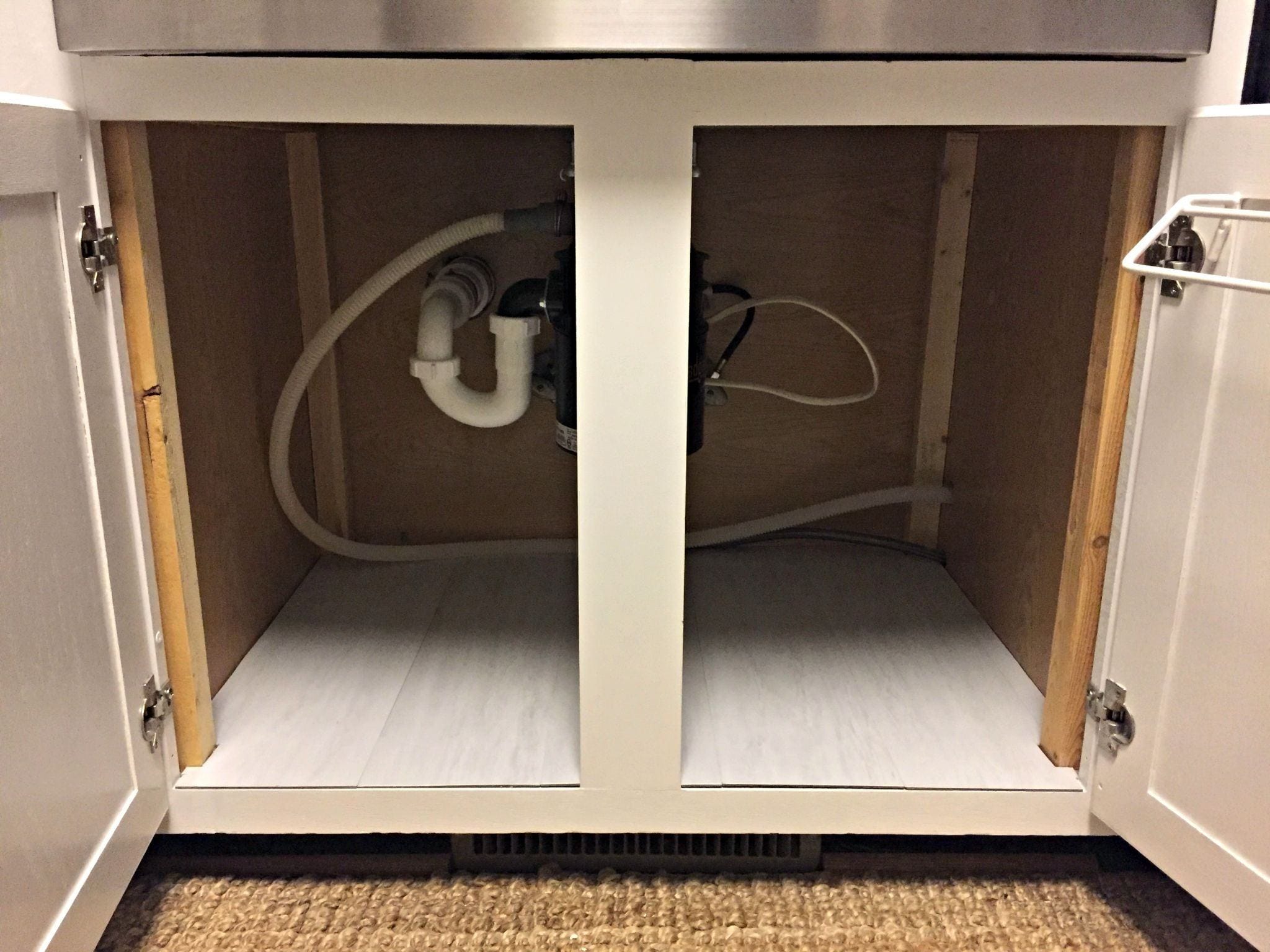how to get rid of mold under the sink