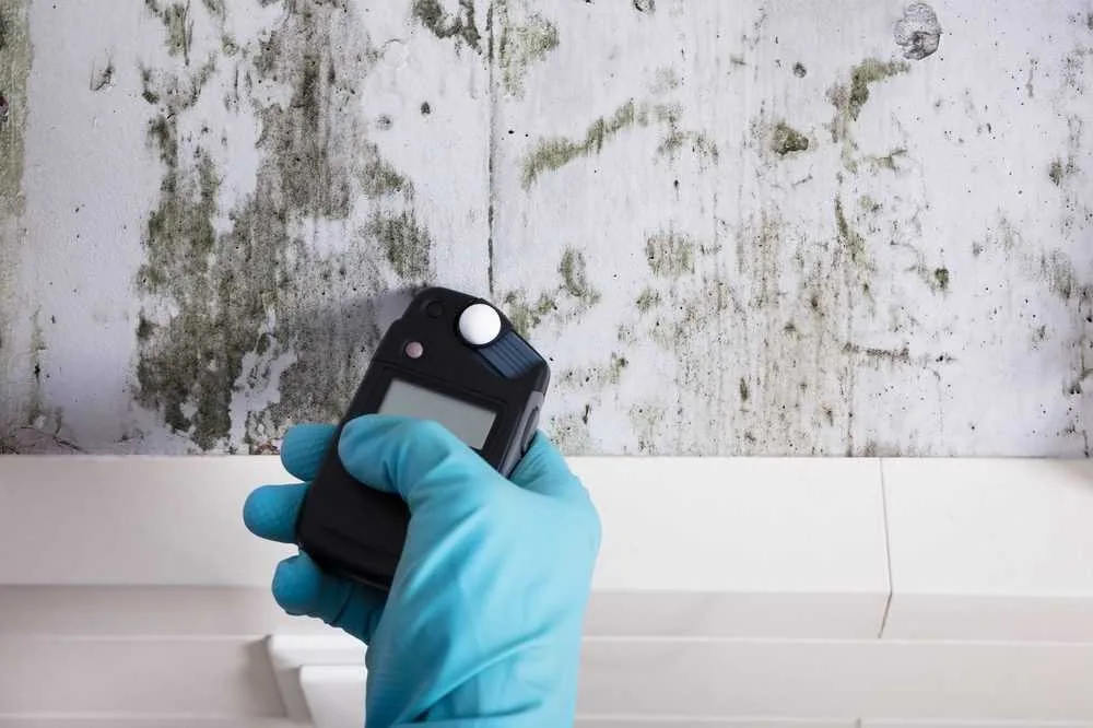 mold test before buying house
