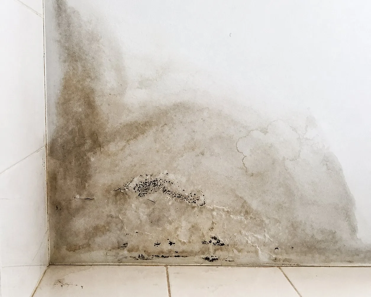 signs of water damage behind wall