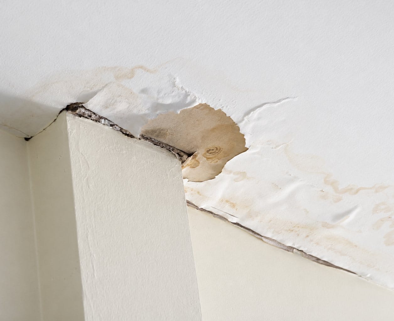 water damage inspection
