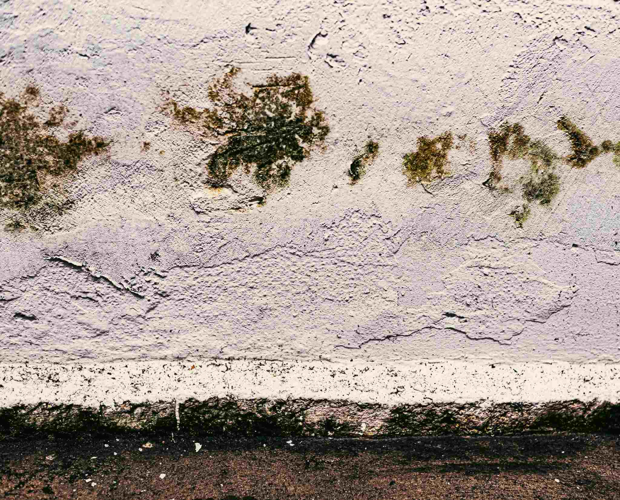 water damage restoration