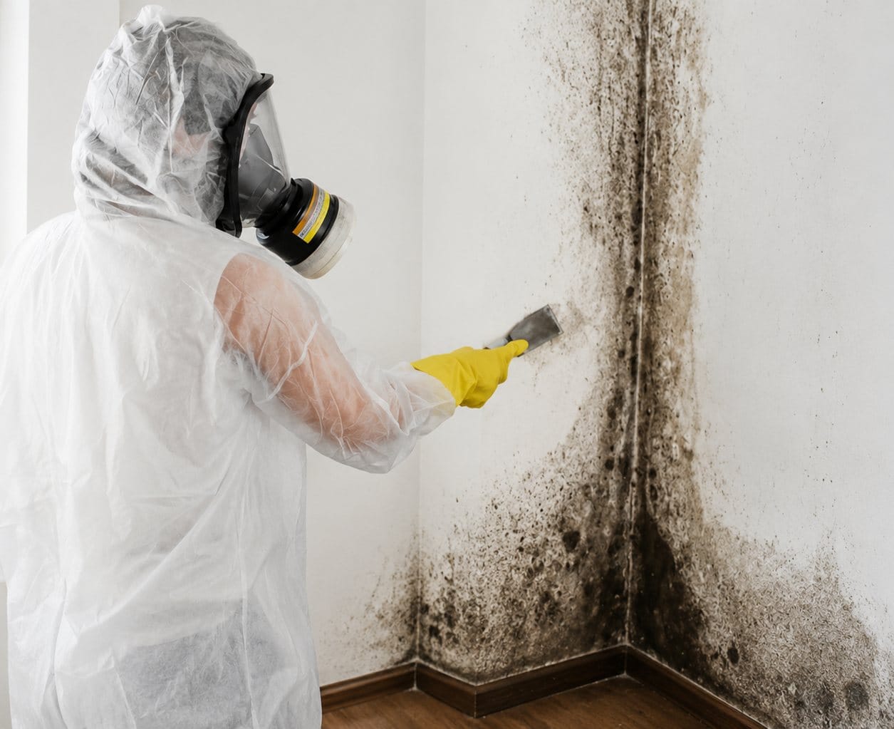 what are mold toxicity symptoms