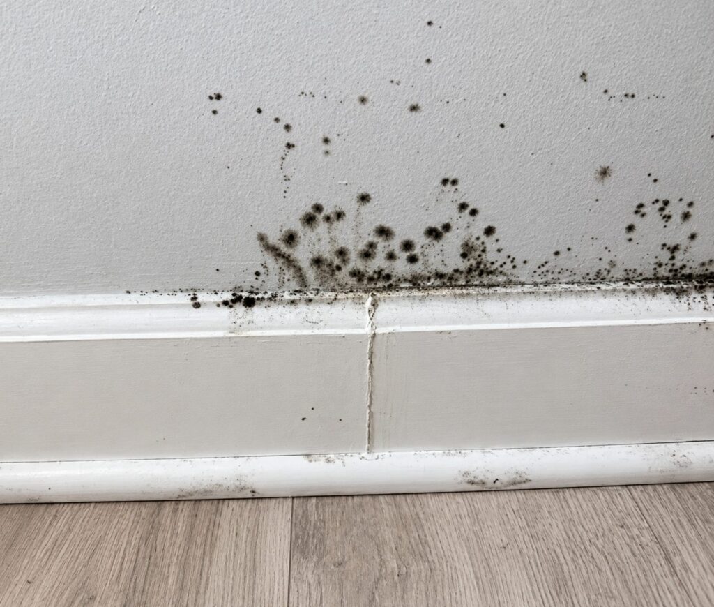 signs of mold in a bedroom